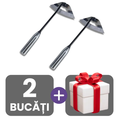 2 bucati