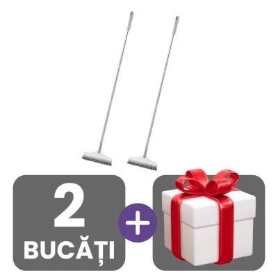 2 bucati
