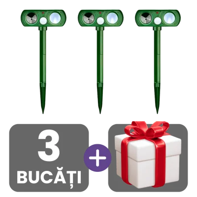 3 bucati