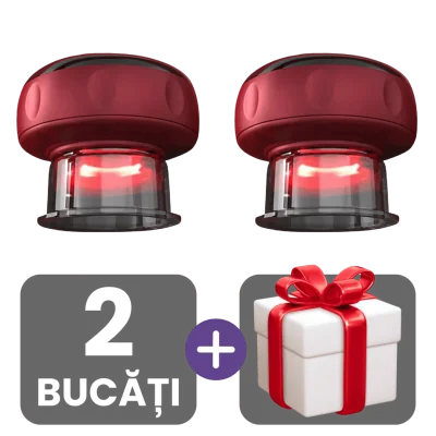 2 bucati