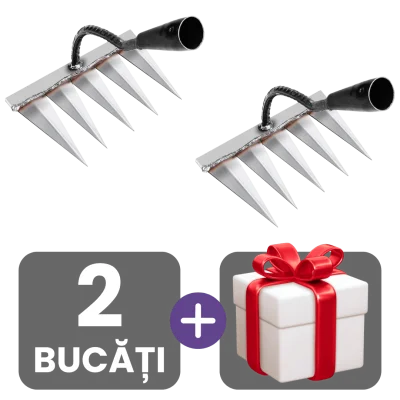 2 bucati