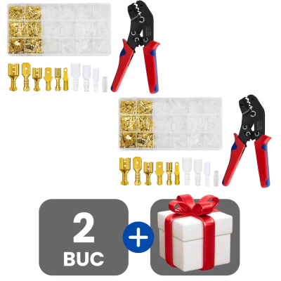 2 bucati