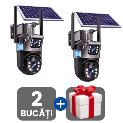 2 bucati