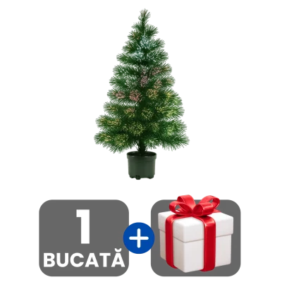 1 bucata