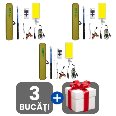 3 bucati