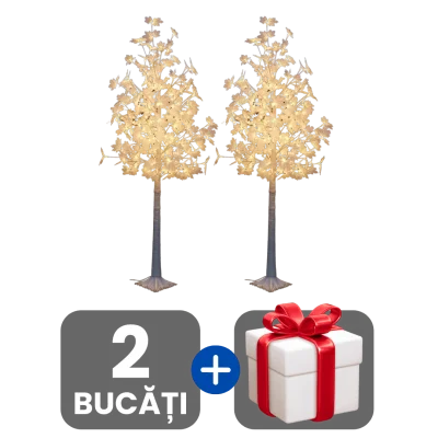2 bucati