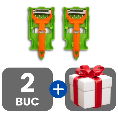 2 bucati
