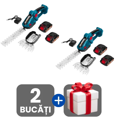 2 bucati