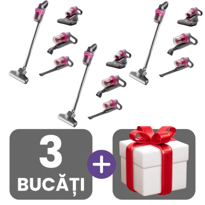 3 bucati