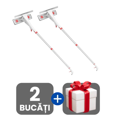 2 bucati