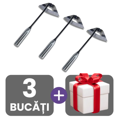 3 bucati