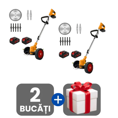 2 bucati