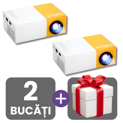2 bucati