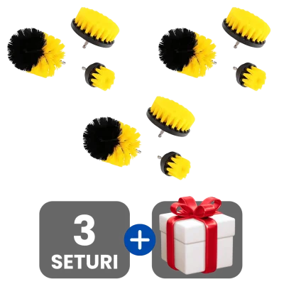 3 bucati