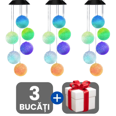 3 bucati