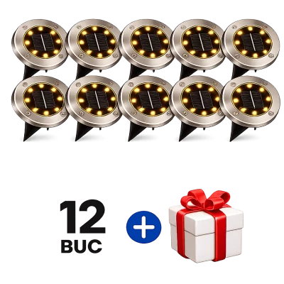 3 bucati