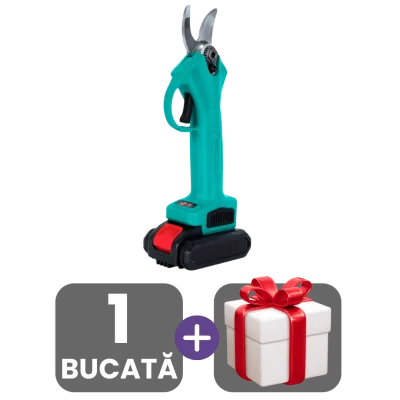 1 bucata