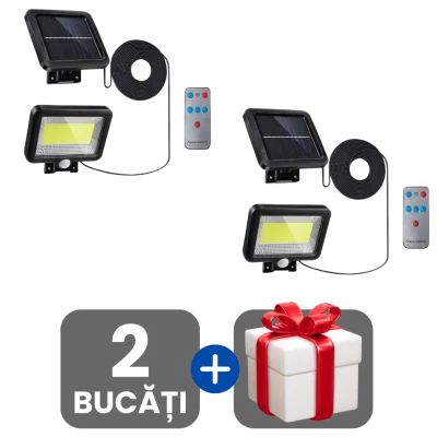 2 bucati