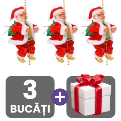 3 bucati