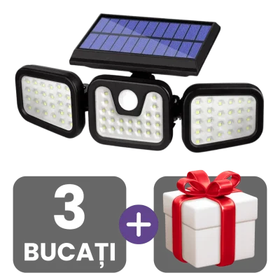 3 bucati