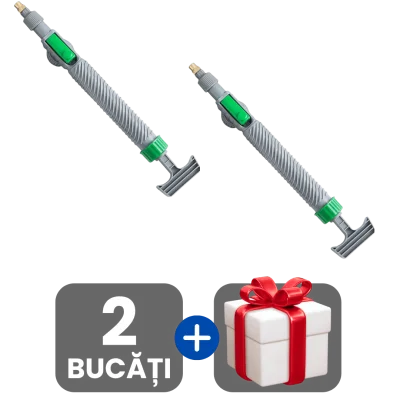 2 bucati