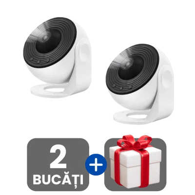 2 bucati