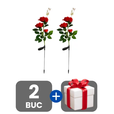 1 bucata