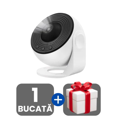 1 bucata