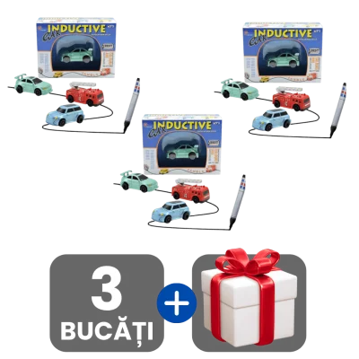 3 bucati