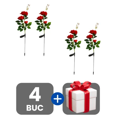 2 bucati