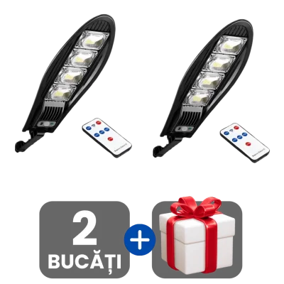 2 bucati