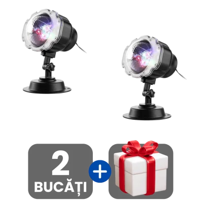 2 bucati