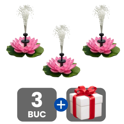 3 bucati