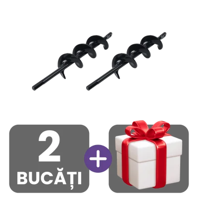 2 bucati