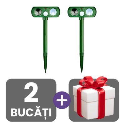 2 bucati