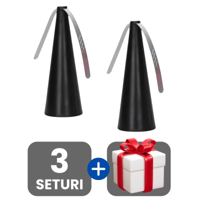 3 bucati