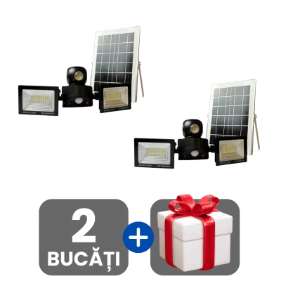 2 bucati