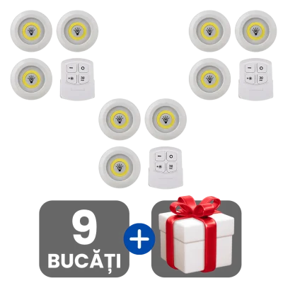 3 bucati