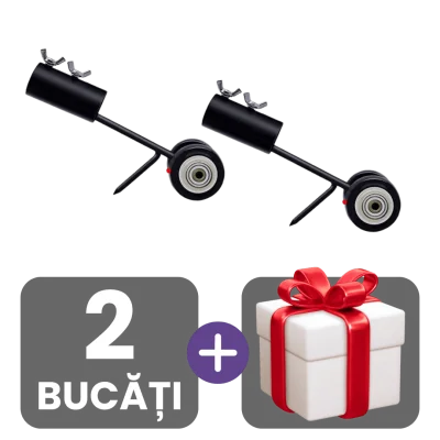2 bucati