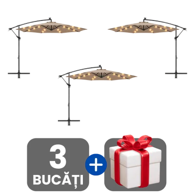 3 bucati