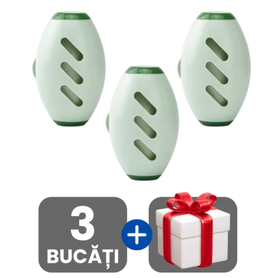 3 bucati