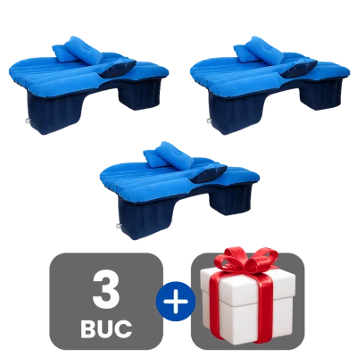 3 bucati
