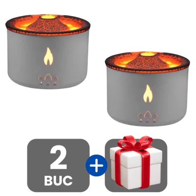 2 bucati