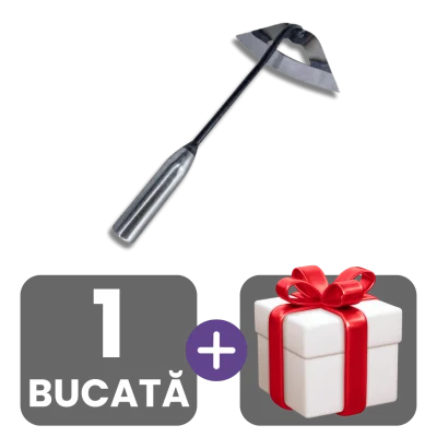 1 bucata