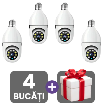 2 bucati