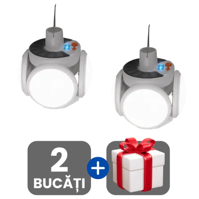 2 bucati