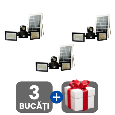 3 bucati