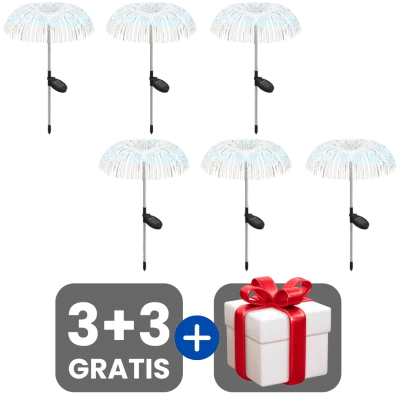 3 bucati
