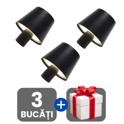 3 bucati