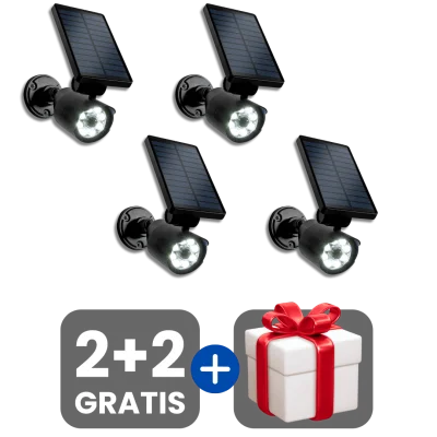 2 bucati
